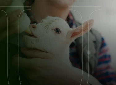 Image for: Social Systems